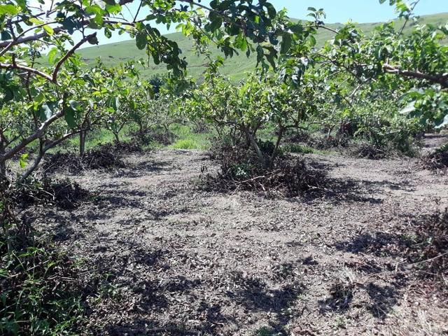 Belíssimo sítio em Cachoeiras de Macacu RJ 122 medindo 20.000m2 oportunidade!!!! - Foto 13