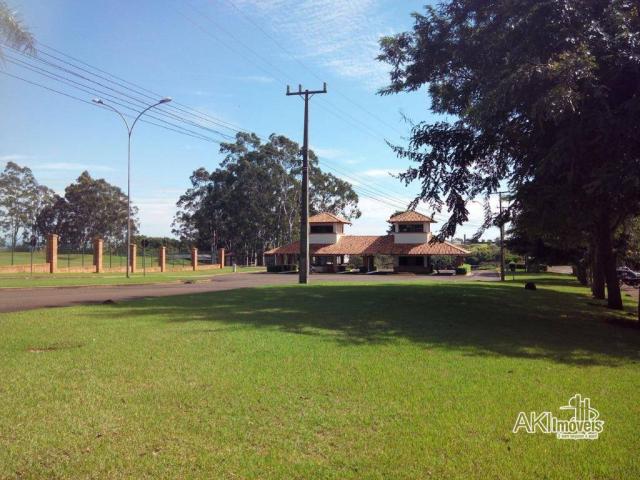 8046 | Terreno à venda em Centro, Iguaraçu - Foto 10