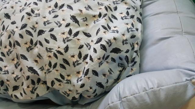 Cama Pet Cachorro - usado - Foto 4