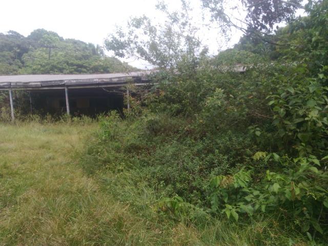 Sítio C/ Igarapé,Casa,Fonte Mineral,Galpão - Foto 9