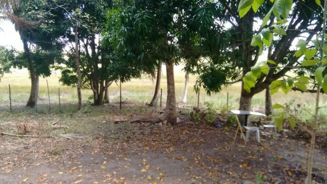 Litoral norte 3.450 m quadrados - Foto 4