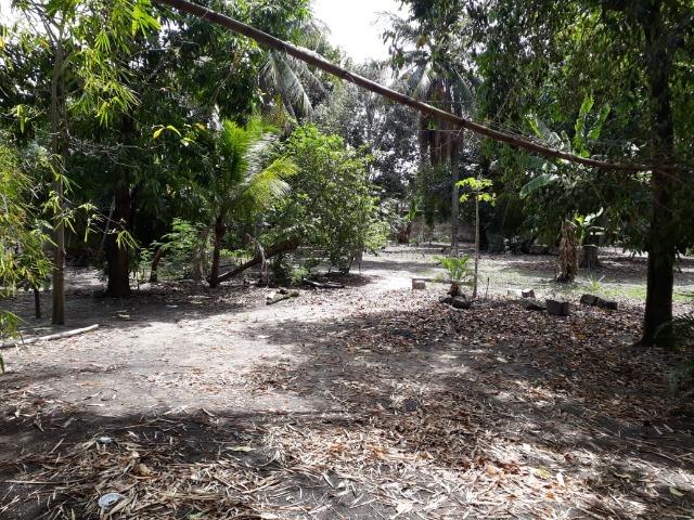Área com 2800 m² com BRT na porta - Vicente de Carvalho - Foto 2