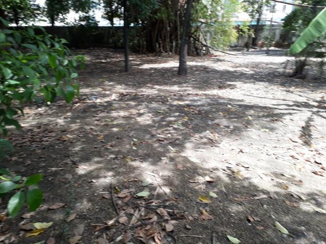 Área com 2800 m² com BRT na porta - Vicente de Carvalho - Foto 6