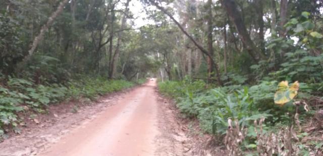Do sonho à realidade - Foto 3