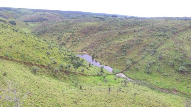 Fazenda ( Vendo ou Troco ) Propriedade Em Teotônio Vilela-AL - Foto 4