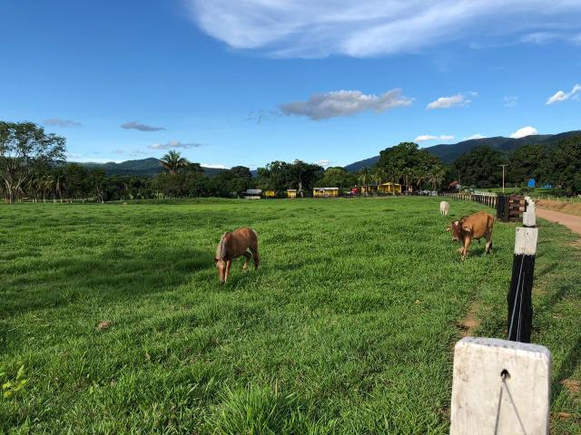 Chácara à venda em Palmeiras, Santo antônio do leverger cod:CH00004 - Foto 15