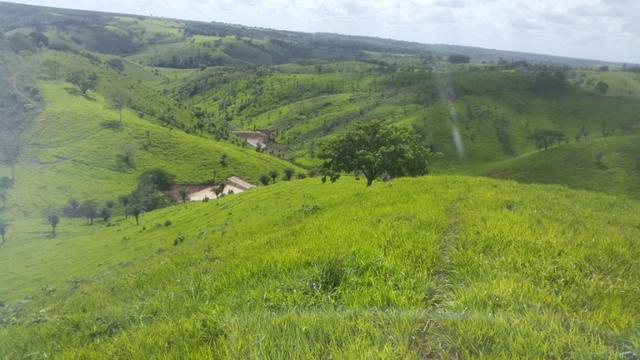 Fazenda ( Vendo ou Troco ) Propriedade Em Teotônio Vilela-AL - Foto 18