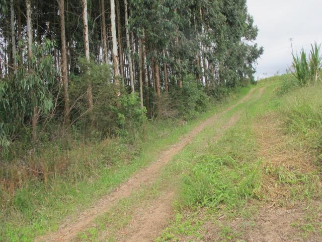 Chácara 32.000 m² - Foto 4