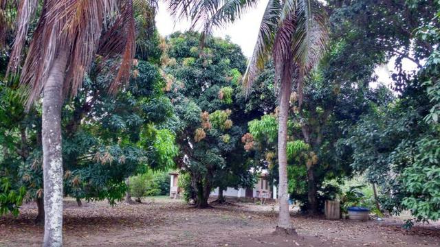 Vendo sitio em jaua - Foto 7
