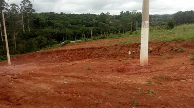 Terrenos - Foto 2