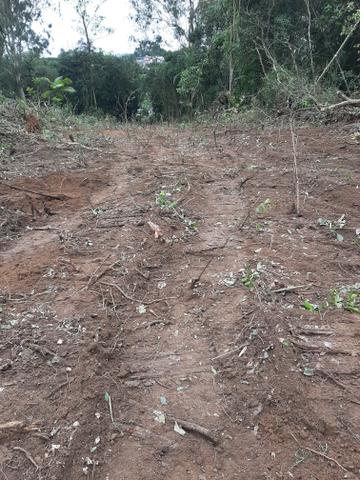 Terrenos - Foto 4