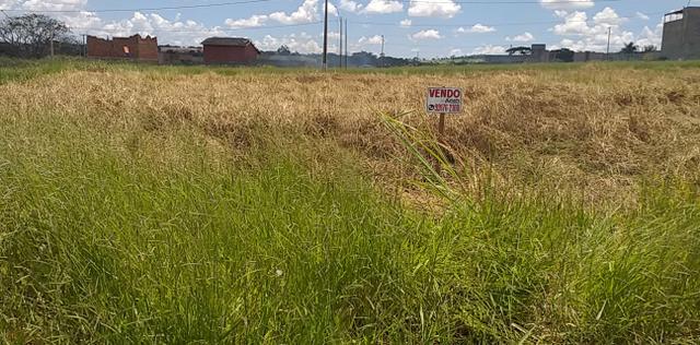 Vende-se lote - Foto 4