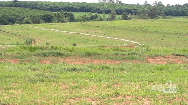 Sitio 10 alqueires em nova esperança - Foto 2