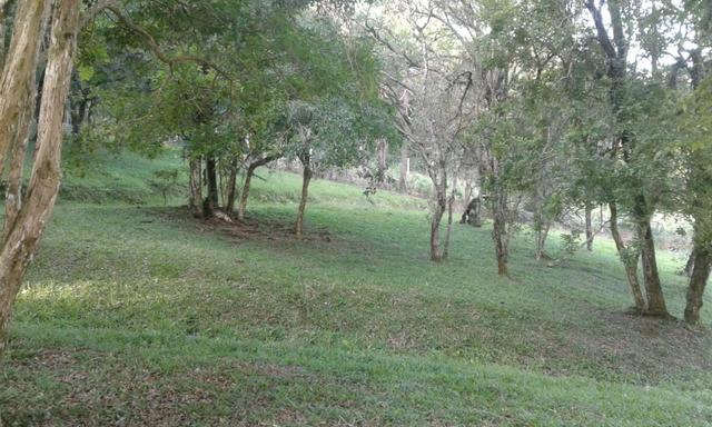 Vende-se chácara em Anta Magra - Quitandinha (cód. A354) - Foto 16