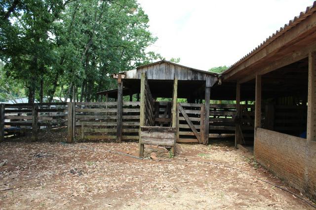 Sitio em Chopinzinho - Foto 12