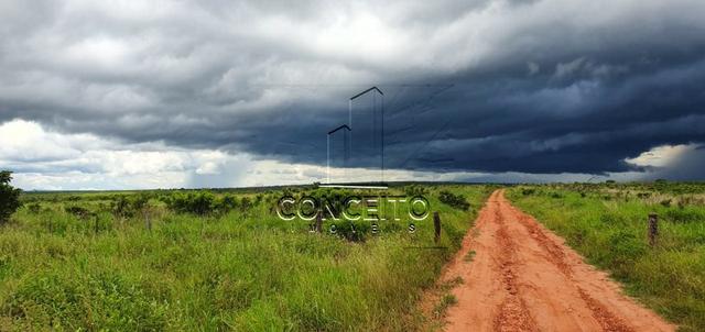 Fazenda na Região de Primavera