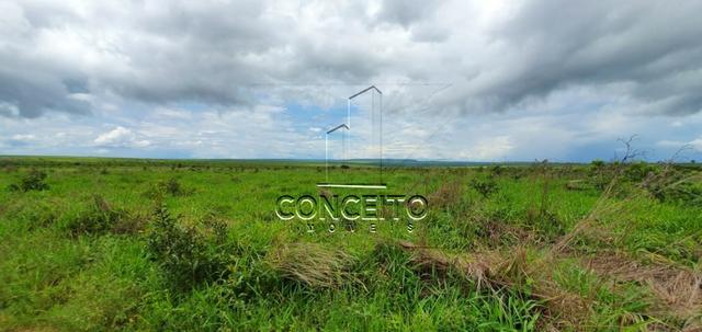 Fazenda na Região de Primavera - Foto 3