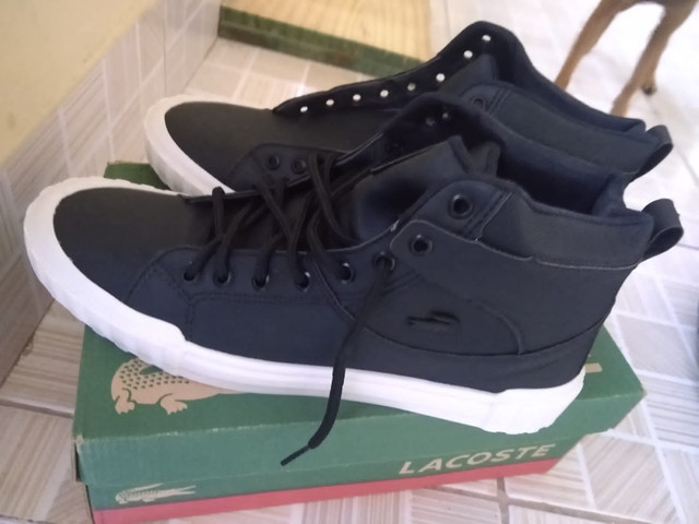 tenis lacoste cano alto