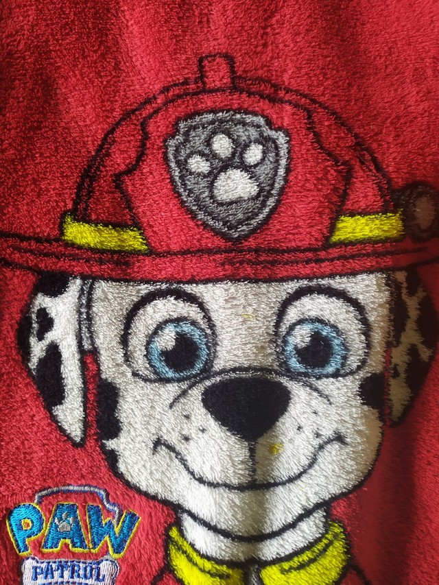Pijama em fleece Patrulha Canina - 4/5 anos - Artigos infantis - Salgado  Filho, Belo Horizonte 1014862177 | OLX