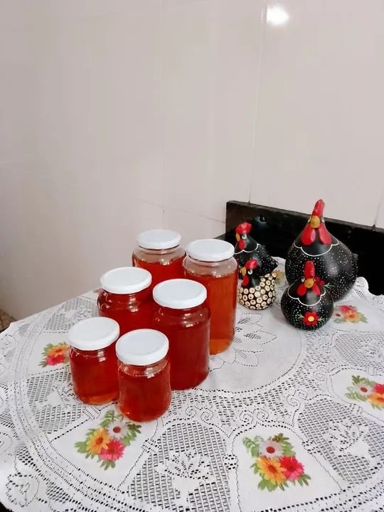 Mel Silvestre 100% puro  - Foto 5