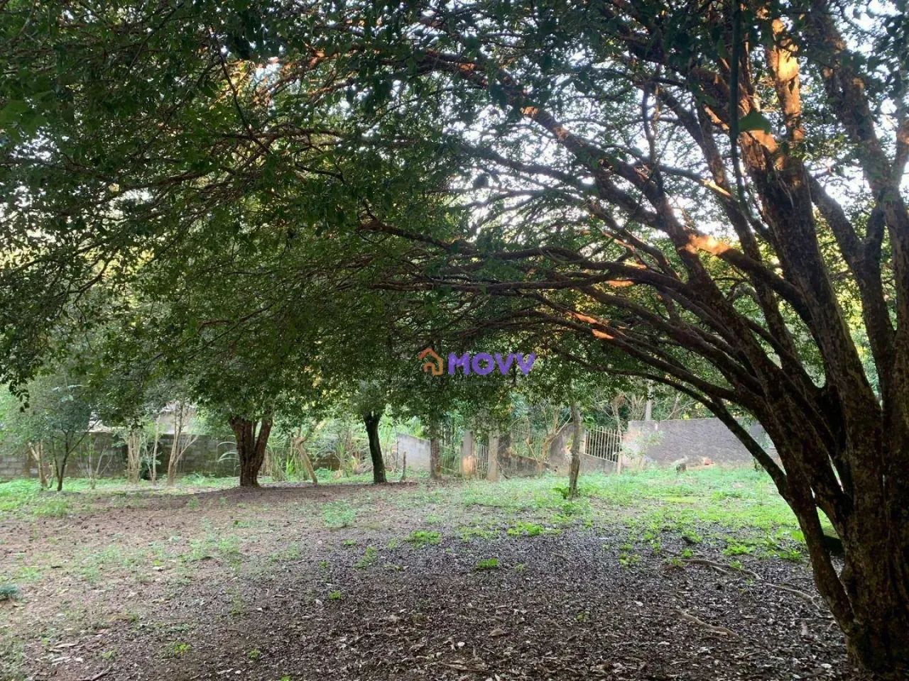 Chácara à venda, 1717 m² por R$ 850.000,00 - Várzea das Moças - Niterói/RJ - Foto 3