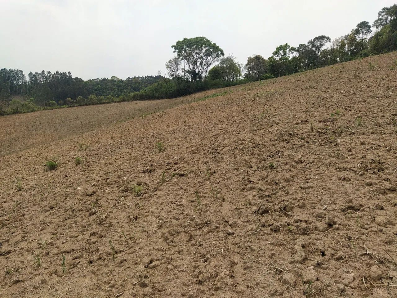Sítio, Ribeirão Branco  - Foto 3