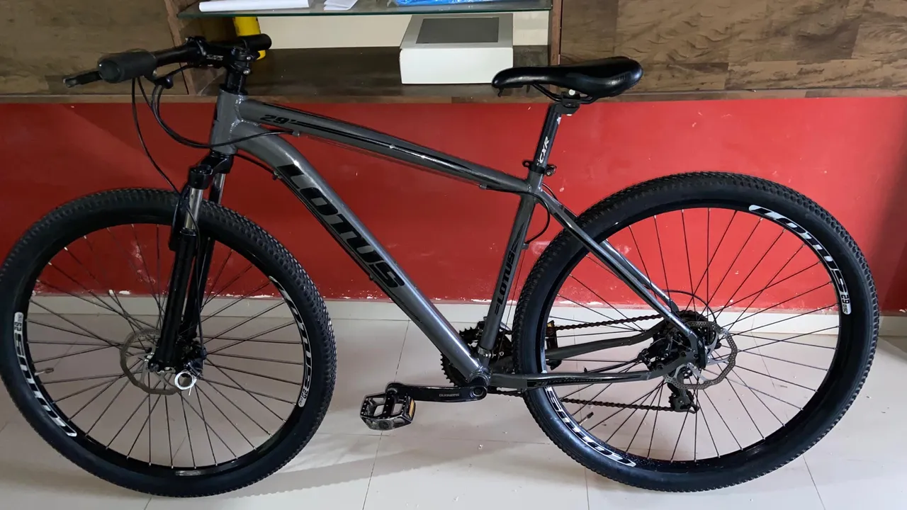 Bicicleta Lotus Aro 29