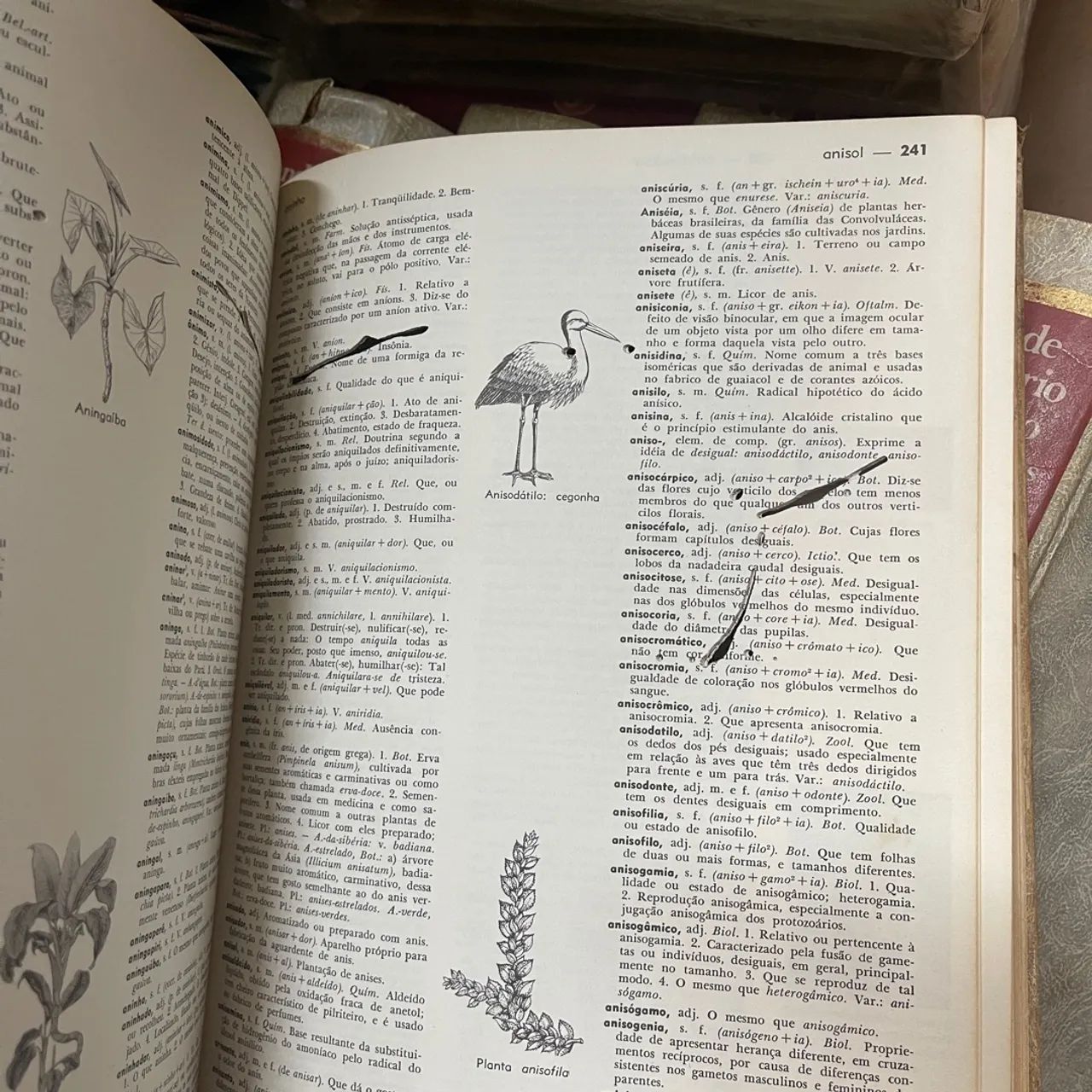 Grande dicionário brasileiro melhoramentos coleção 5 livros - Foto 5