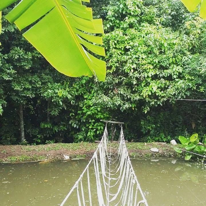 Linda Chácara ABUNDANTE EM NASCENTES D'ÁGUA!  - Foto 6