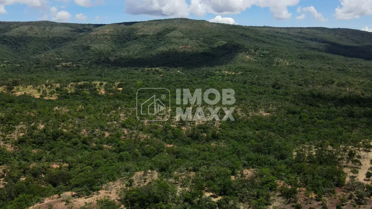 Fazenda Buritis 333,65 Ha Investimento Muita Água - Foto 15