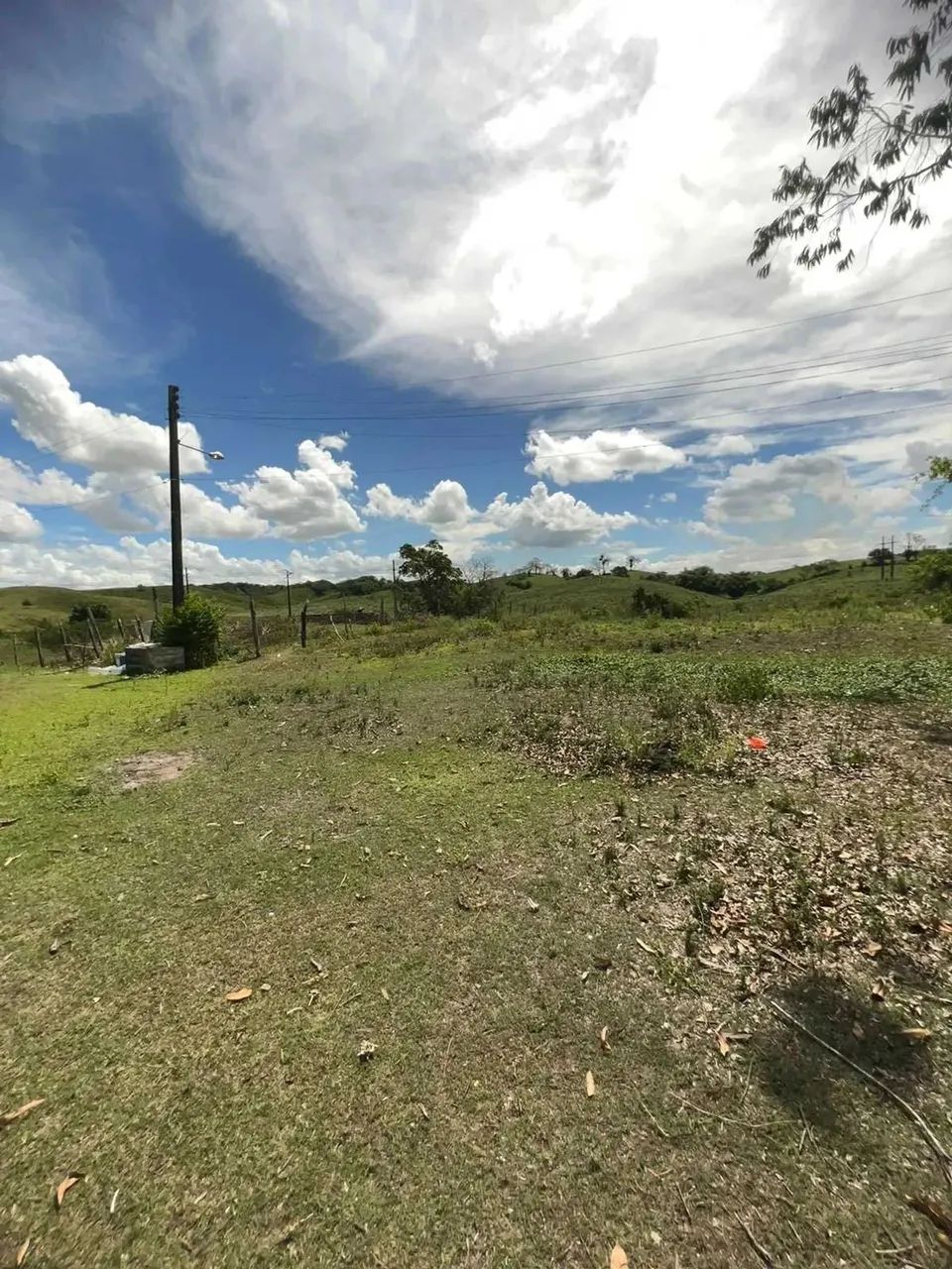 Chácara União - Riachuelo - Se [35] - Foto 9