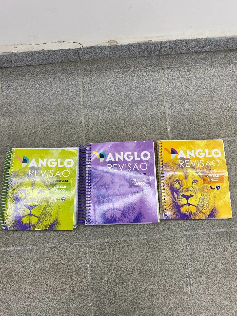 Coleção de livros pré vestibular Anglo revisão 