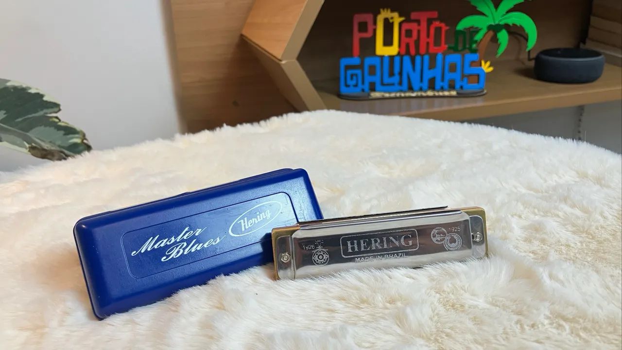 Gaita Hering Master Blues  - Foto 3