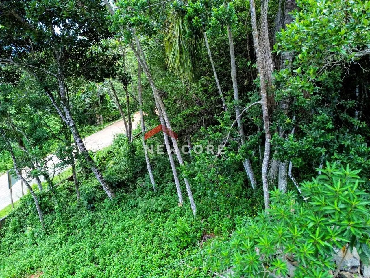 Lote em Rodovia Rafael da Rocha Pires - Sambaqui - Florianópolis/SC - Foto 5