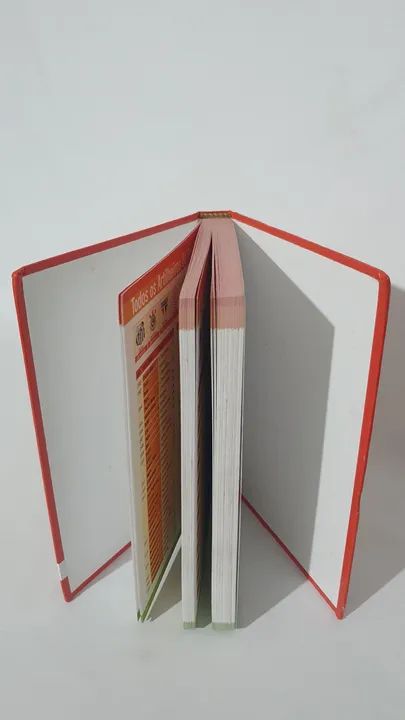 Almanaque do Futebol Paulista 2002 - Foto 6