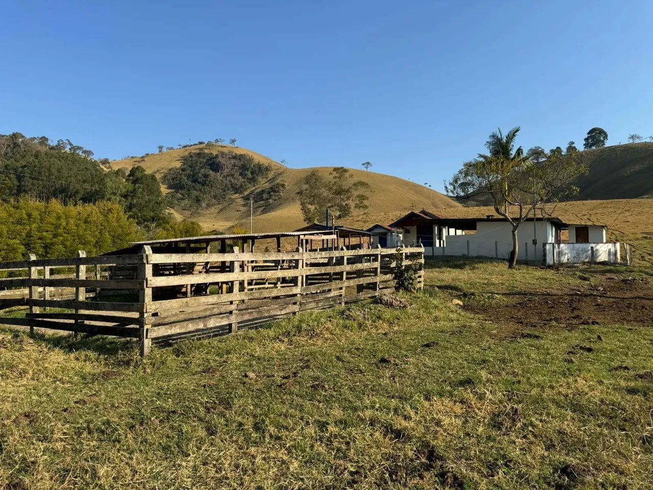 VENDA  Sítio de 50 hectares em Pintos dos Negreiros!!! - Foto 2