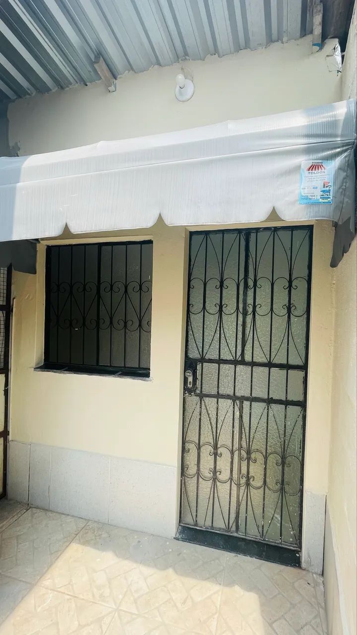 Foto - Manaus - Lírio do Vale