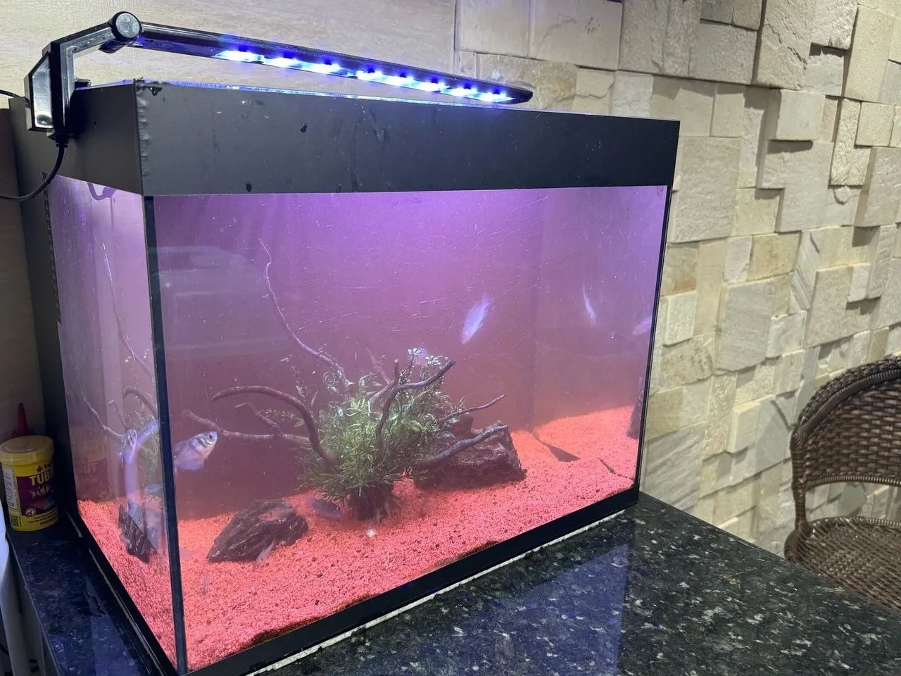 Aquário 80 Litros com Iluminação LED