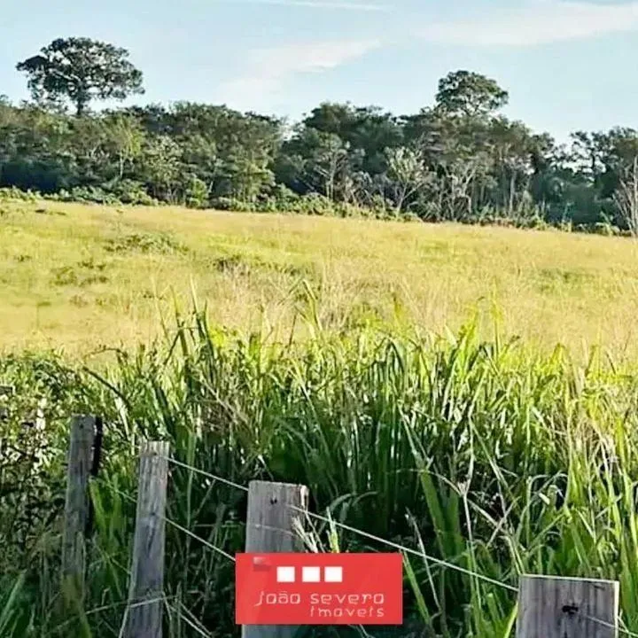 Fazenda para Venda em Itaituba