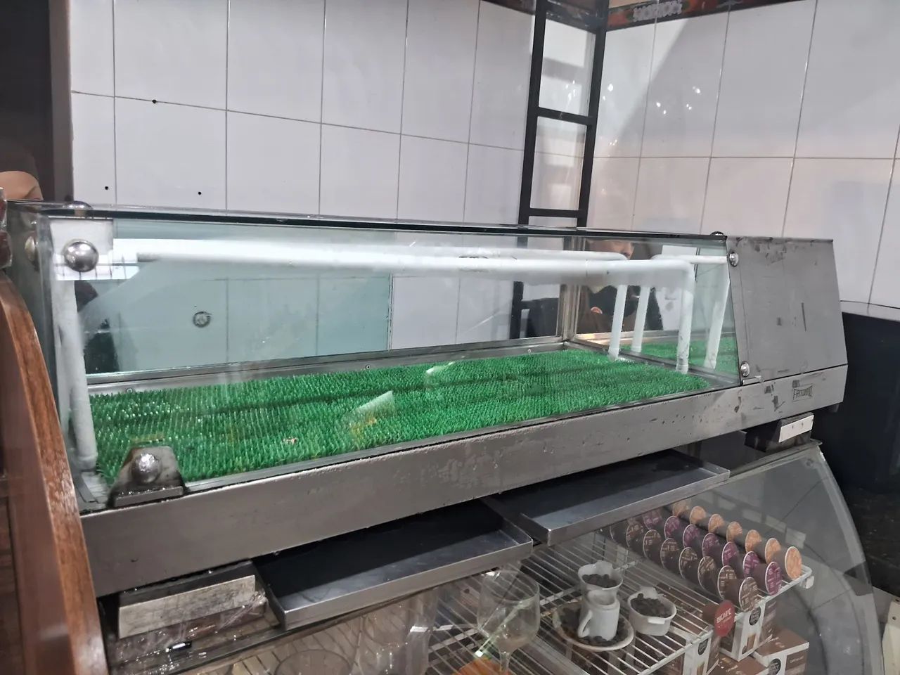 Vitrine Refrigerada para Sushi