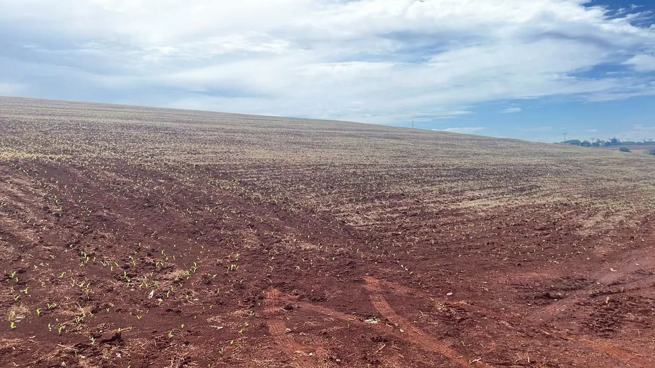 Vendo fazenda 