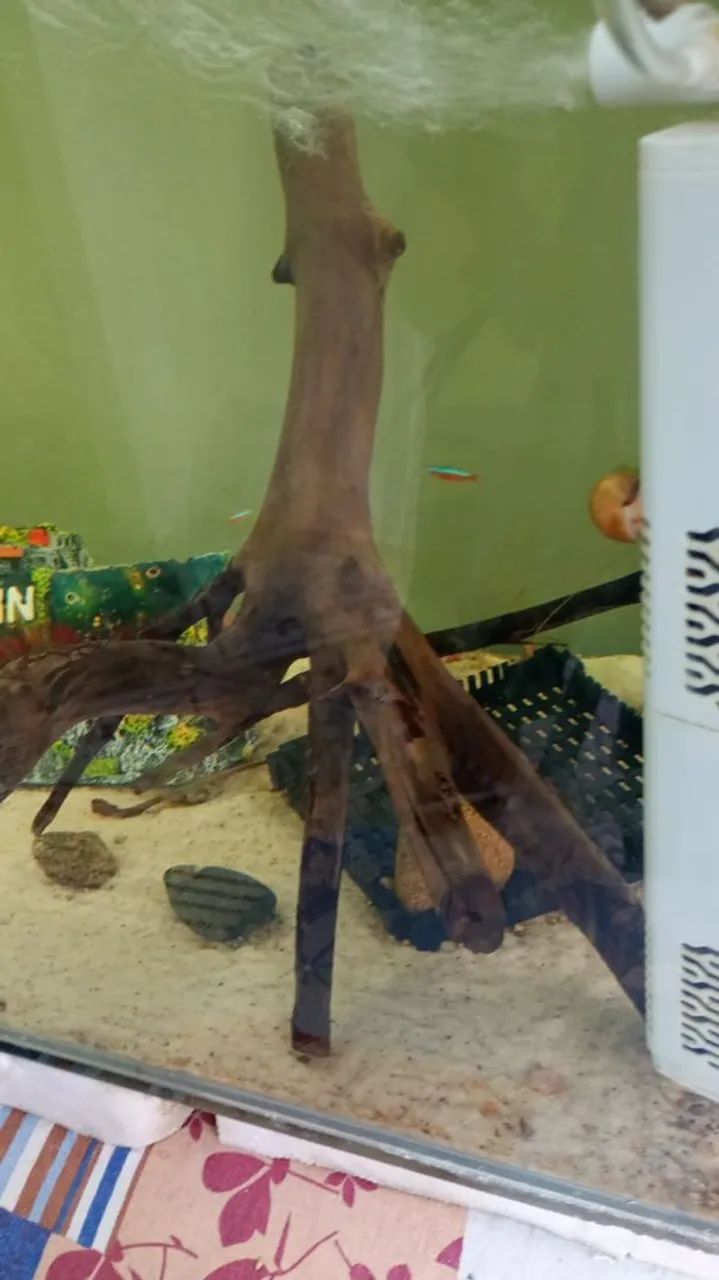 Aquário de 200L com acessórios  - Foto 5