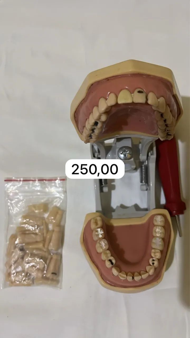 Manequim odontológico 