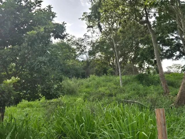 Chácara encantadora em Anápolis - Foto 2