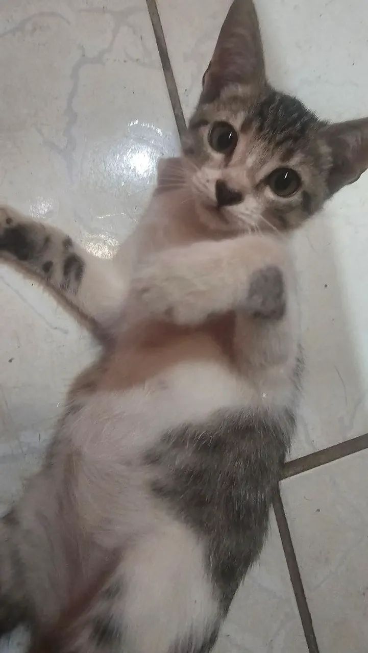 Doação