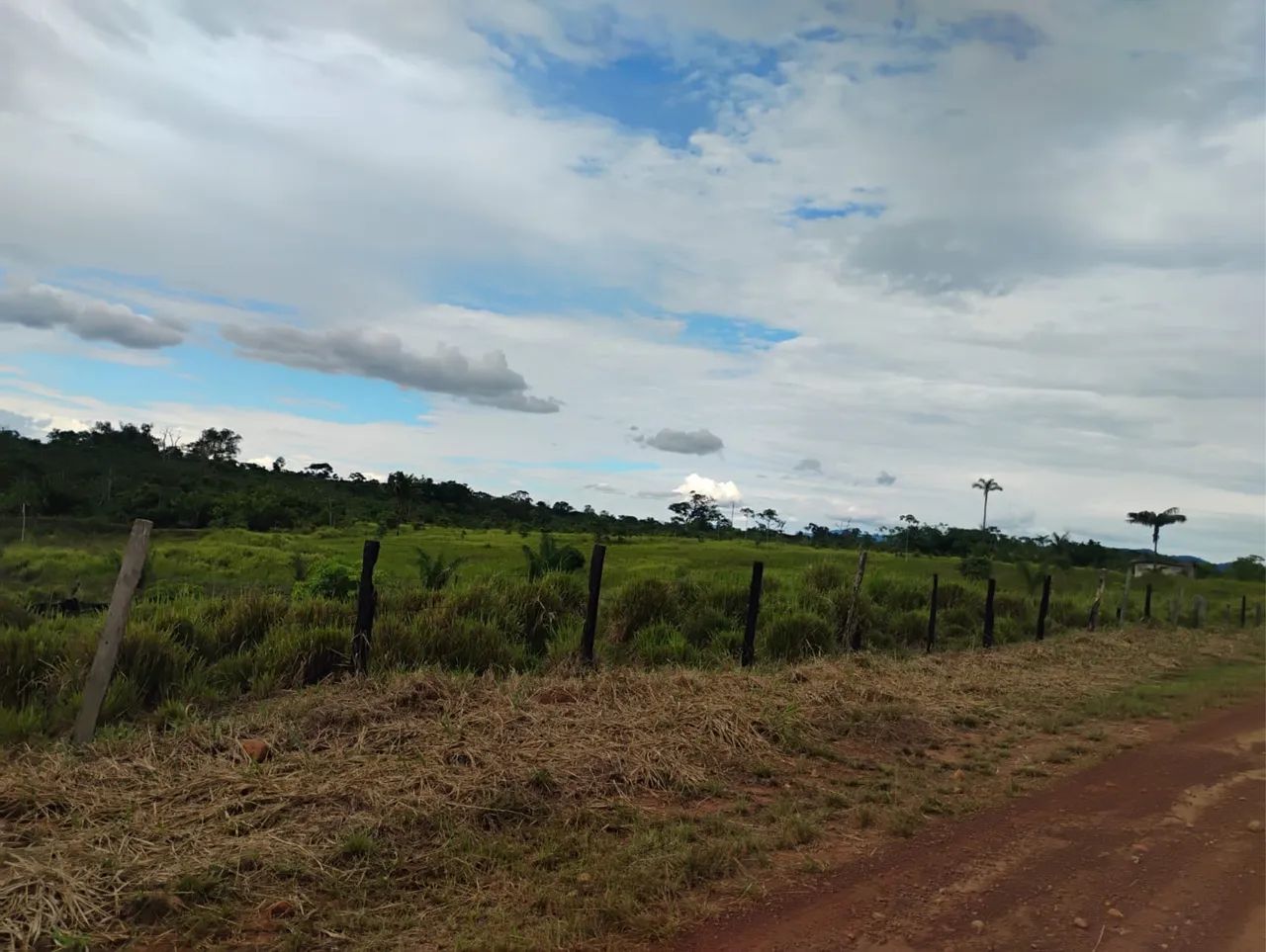 02 lotes um ao lado do outro, muita água é muito pasto. - Foto 4