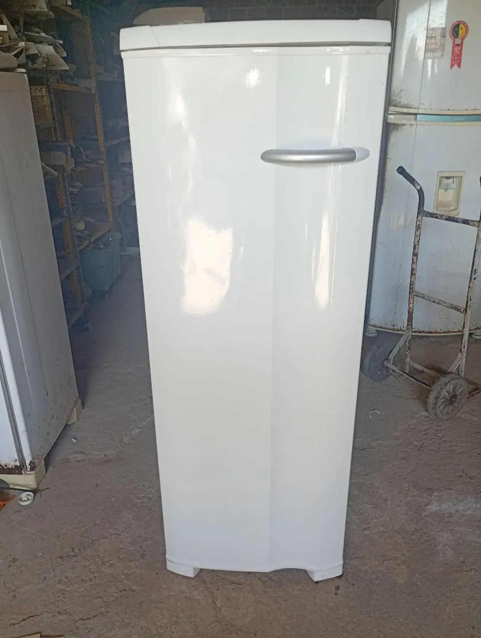 Freezer vertical 