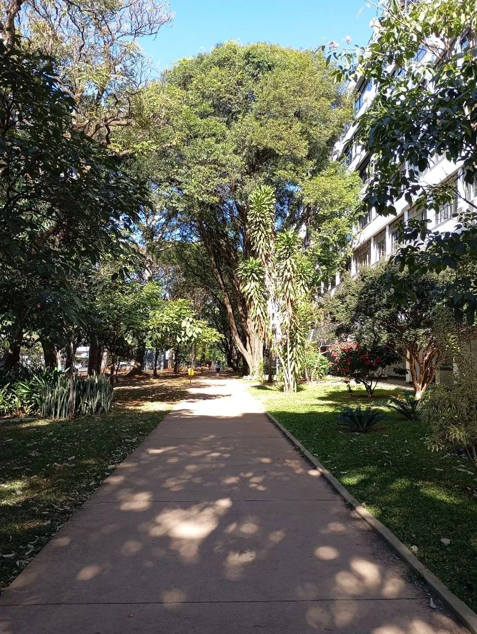 Apartamento SQS 306 BLOCO C APTO. 301 - Foto 2