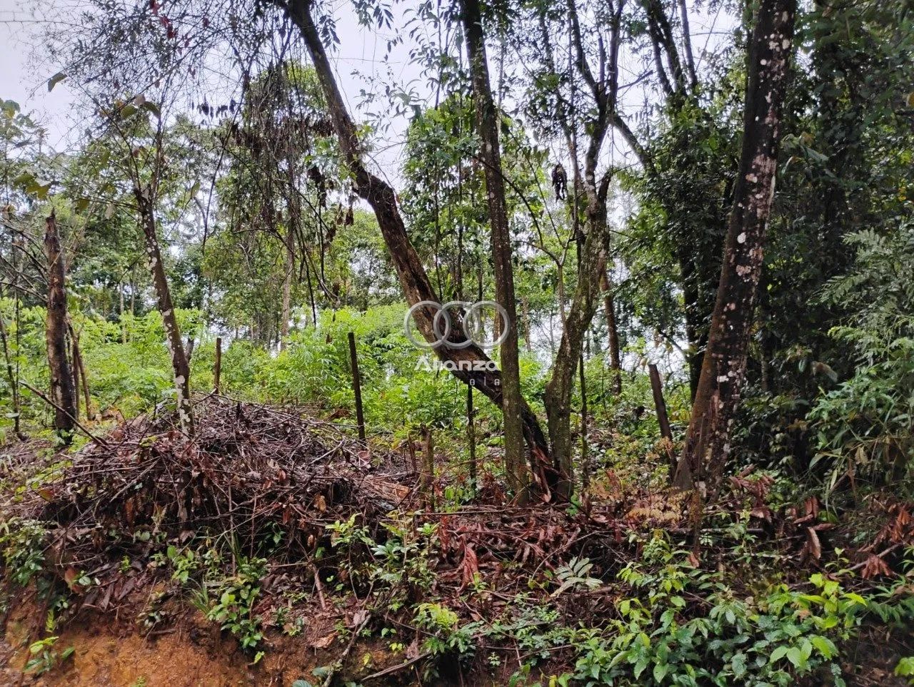 Lote à venda - Em Macacos! - Foto 4