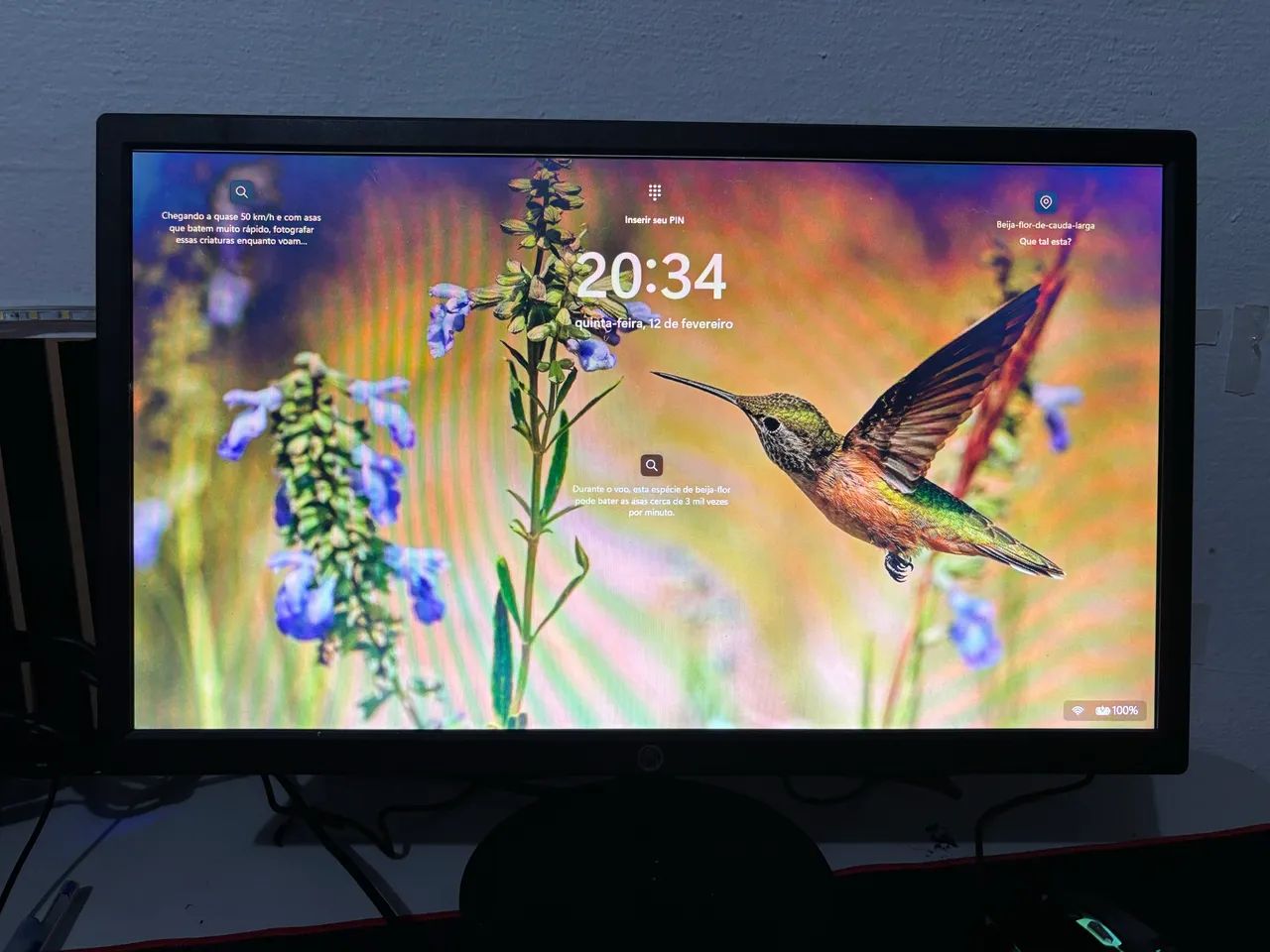 Monitor HOE 20 polegadas